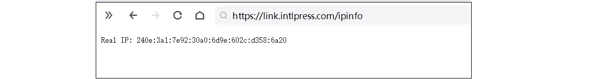 Check your own IP address
